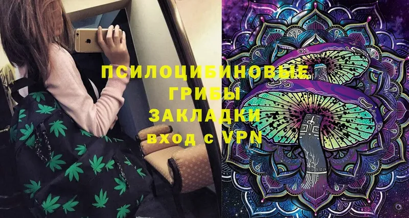 Галлюциногенные грибы Magic Shrooms  где можно купить   Моздок 